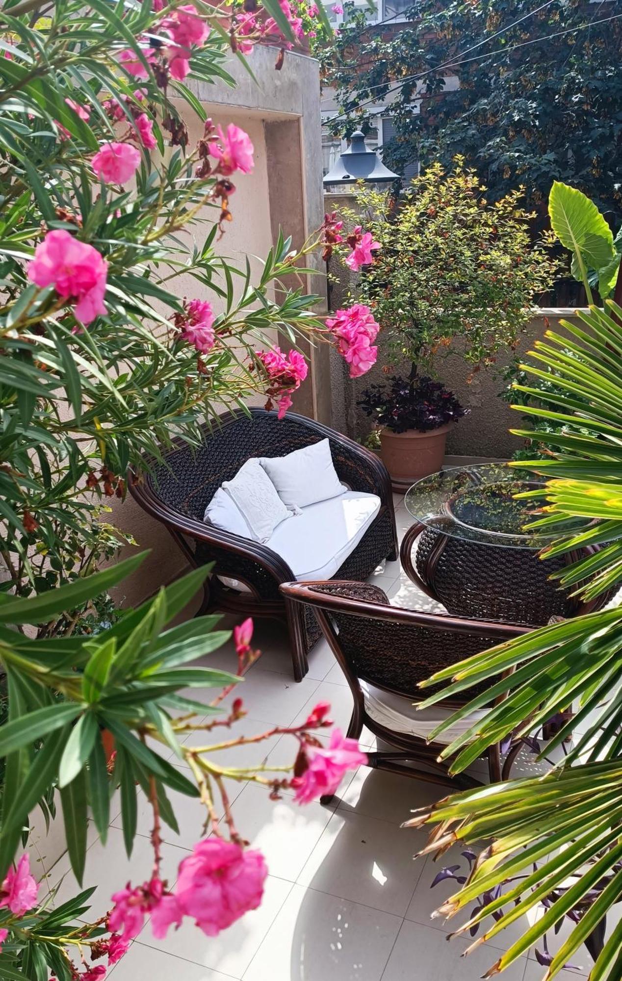 Villa Rosi Süzebolu Dış mekan fotoğraf
